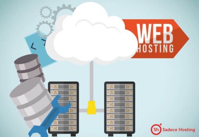 Plesk Panel ile Veritabanı Yönetim Optimizasyonu